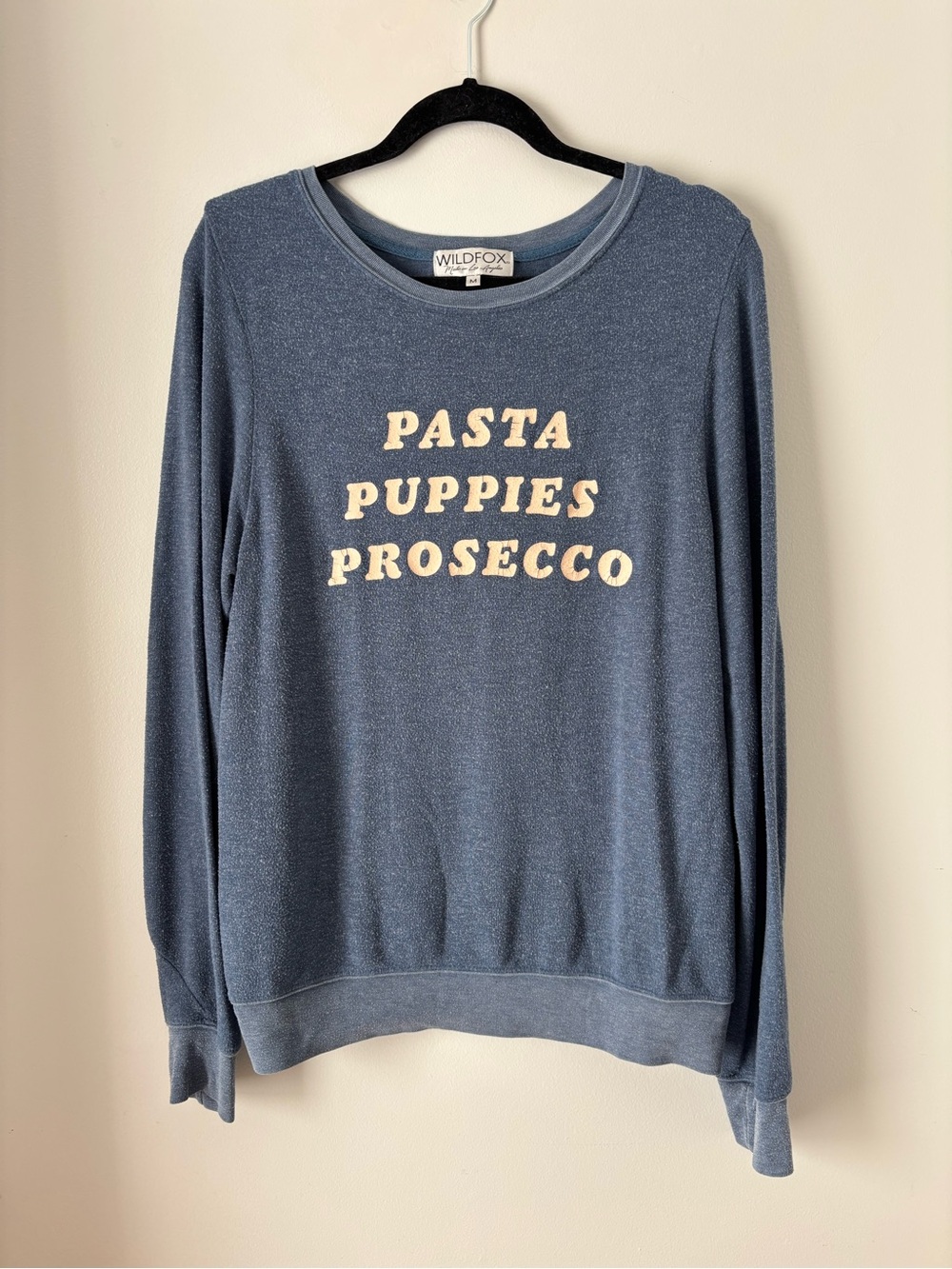 Wildfox Blue 'Pasta Puppies Prosecco' Crewneck Sweater medium